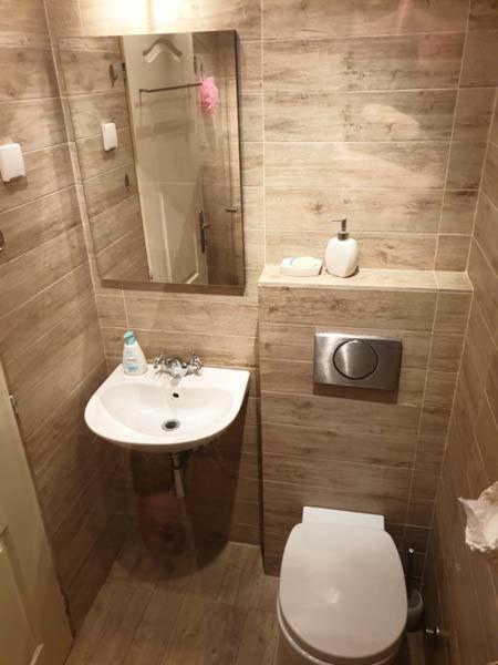 Studio 77 Belgrad Exteriör bild